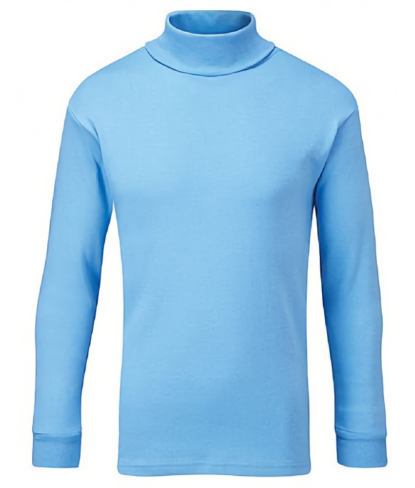 Derwent Roll Neck Top
