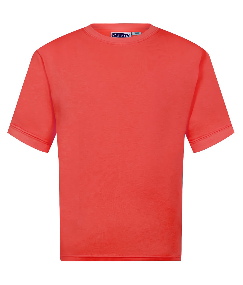 Tee Shirt (unbadged)