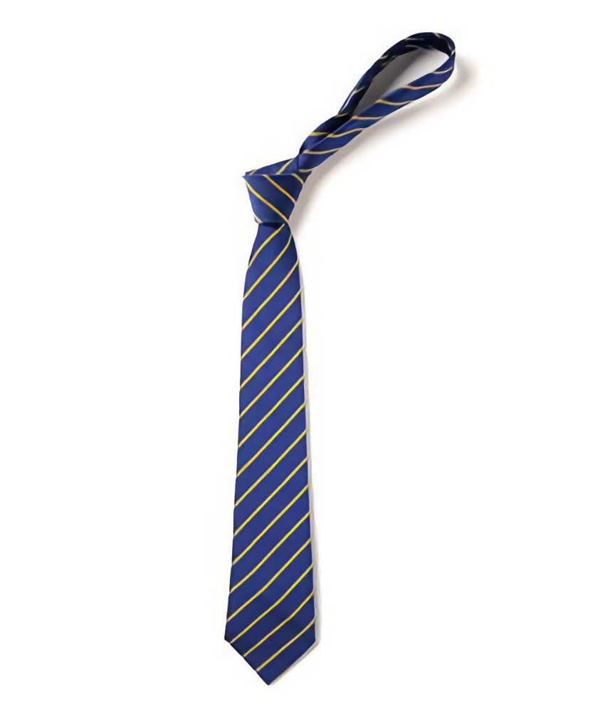 Royal Blue and Gold Thin Stripe Tie by Unicol