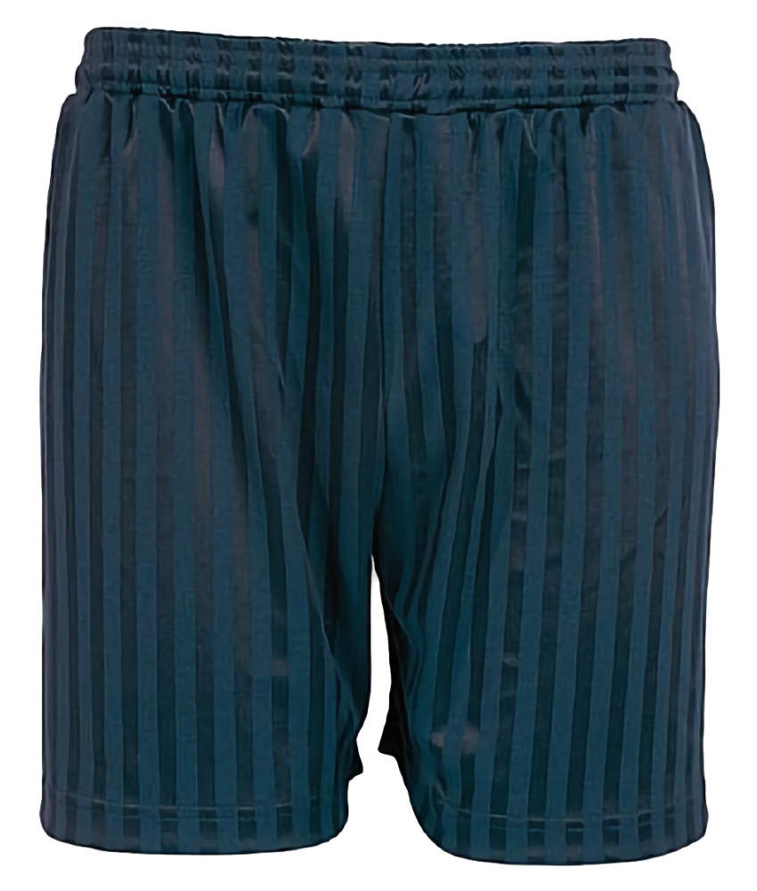 Shadow Stripe Shorts