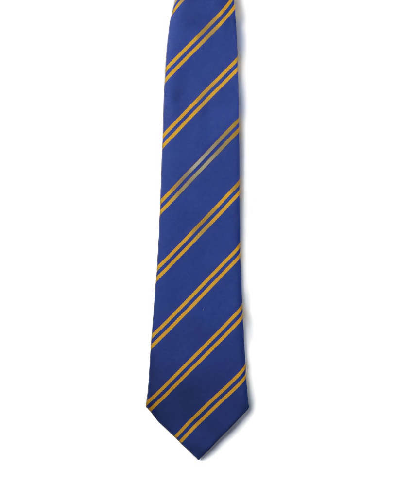 Royal Blue and Gold Double Stripe Tie
