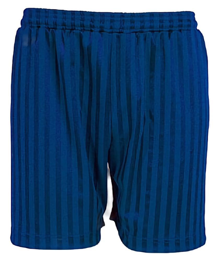 Shadow Stripe Shorts
